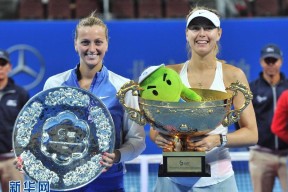 九游-科维托娃巅峰对决，莎拉波娃与30激战法国队分钟，逆转胜负难料！的简单介绍